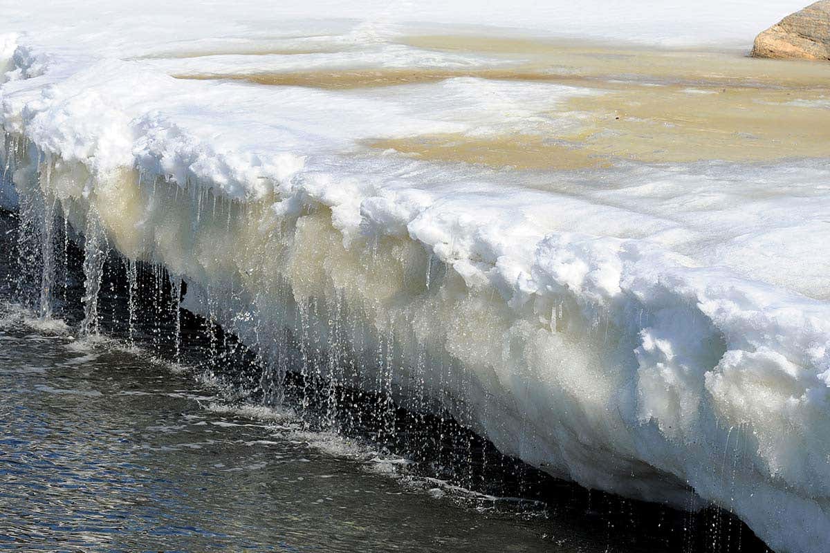 [Science] Meltwater from Greenland could raise sea level an extra 7 centimetres – AI
