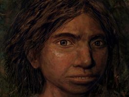[Science] This is almost certainly not what Denisovans looked like – AI