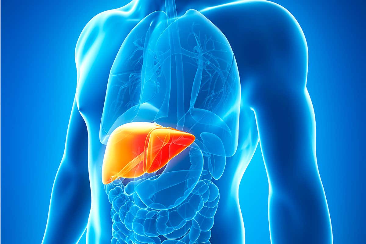 [Science] Experimental drug that targets liver fat may help prevent diabetes – AI