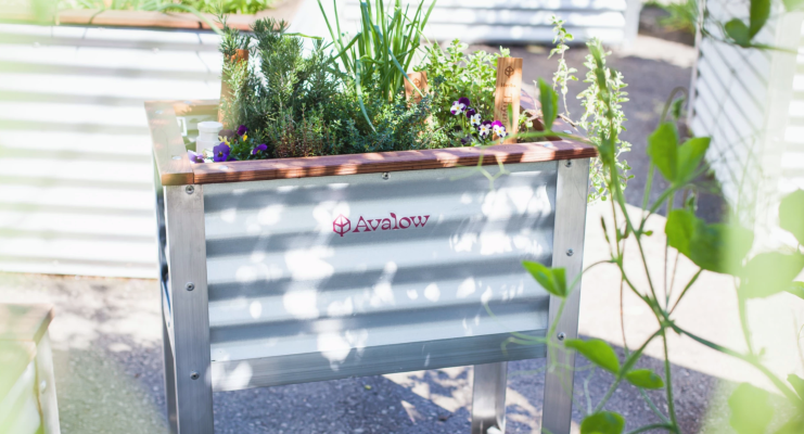 [NEWS] Avalow wants to be your gardening coach – Loganspace