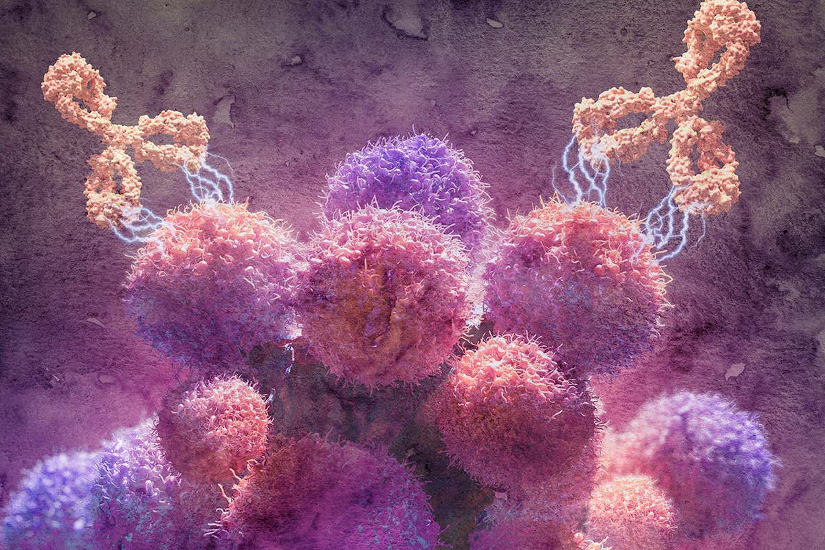 [Science] Mini organs grown from tumour cells can help us choose the best chemo – AI