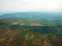 [Science] Ancient jungle capital of the Khmer Empire mapped for the first time – AI