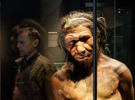 [Science] Long strand of DNA from Neanderthals found in people from Melanesia – AI