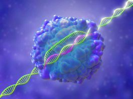 [Science] CRISPR upgrade could make genome editing better and safer – AI